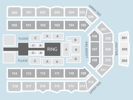 Wrestling Seating Plan Metro Radio Arena